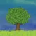 The Money Tree