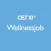 Wellnessjob