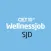 Wellnessjob SJD