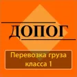 ДОПОГ 1 класс, Тесты