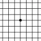Amsler Grid App