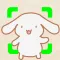 Animal Face: Pocket Scanner