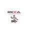 RICCA