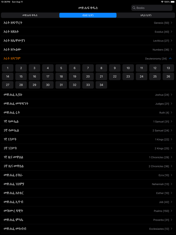 Amharic Bible iPad Screenshots