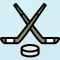 Ice Hockey Statistics