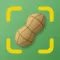 Quick Check: Allergen Scan