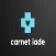 Carnet IADE