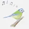 Bird Song ID (UK)