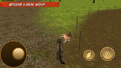 Wild Wolf Life Simulator Screenshots