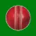 CricketCounter