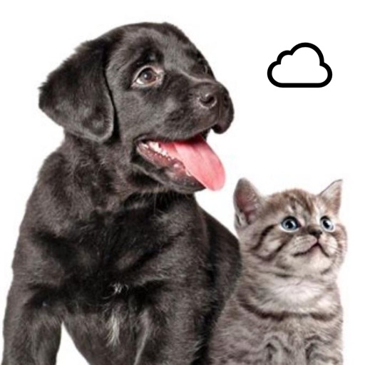 petfood calc petfood calc