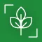 Ingredient Checker - VeganScan