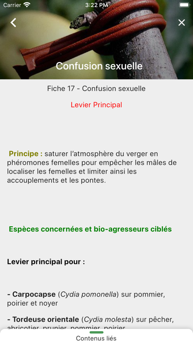 Eco-Fruits Screenshots
