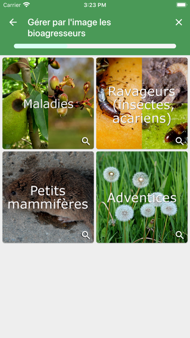 Eco-Fruits Screenshots