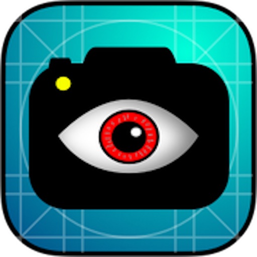InsightCam