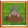 Whack A Mole - Smack Hamster