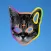 Flying Tron Cat