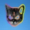 Flying Tron Cat