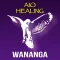 Auto-Login for AIO Healing