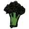 NFT Stickers