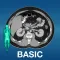 X-Anatomy Basic