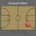 iUmpire BBall