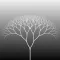 FRACTALS TREE