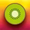 Kiwi des Schicksals
