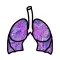 Lung Cancer Stage