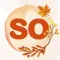 Socolor