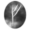 young futhark