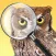 iBird Photo Sleuth