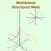 Multilateral Directional Wells