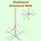 Multilateral Directional Wells