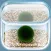 The Marimo
