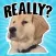 Golden Retriever Stickers