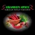 Grameen Spice, Fareham