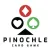 Pinochle Card Game