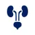 Practical Urology