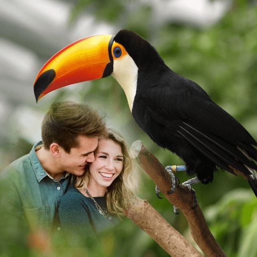 Bird Photo Frames - Creative Frames for your photo Bird Photo Frames - Creative Frames for your photo