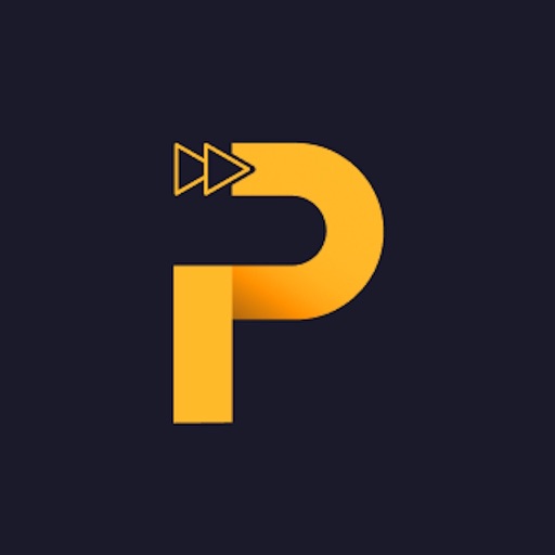Polynizer: see what you hear Polynizer: see what you hear