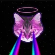 Cat Laser Toy
