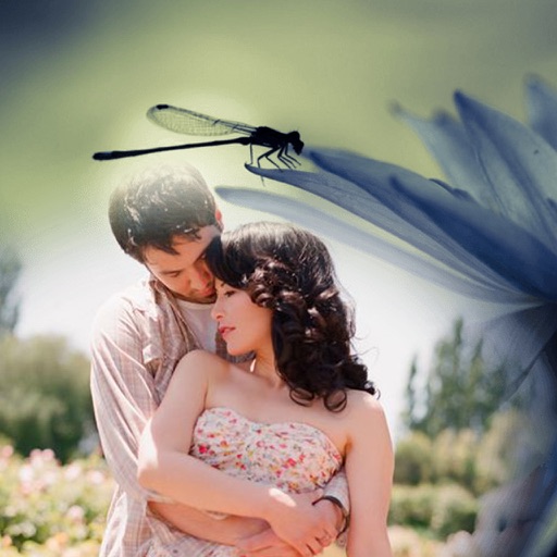 Dragonfly Photo Frame - Picture Frames + Photo Effects Dragonfly Photo Frame - Picture Frames + Photo Effects