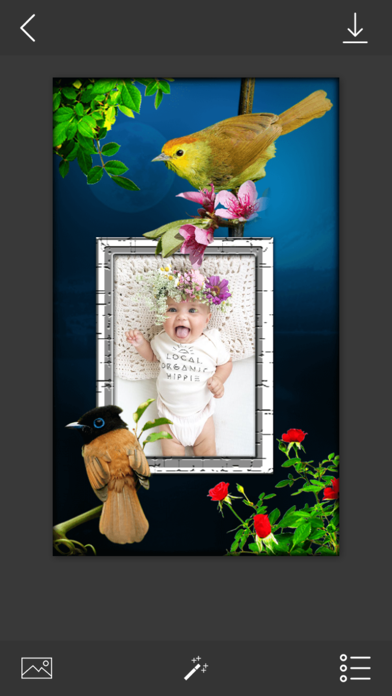 Bird Photo Frames - Make awesome photo using beautiful photo frames Screenshots