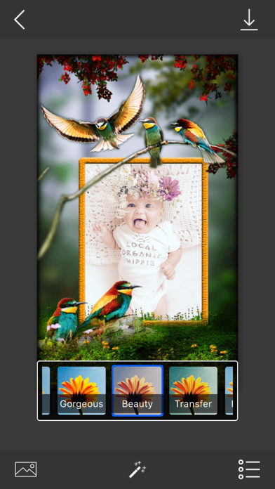 Bird Photo Frames - Make awesome photo using beautiful photo frames Screenshots