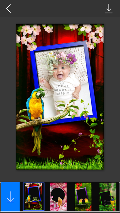 Bird Photo Frames - Make awesome photo using beautiful photo frames Screenshots