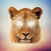 Animal Face - Selfie Editor & Stickers for Pictures