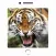150+ Sounds of Animals