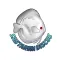 Santarem Discus