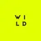 WILD FILM - Video Story Filter